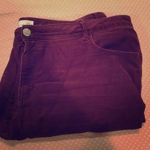 Loft CURVY SKINNY eggplant cords